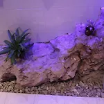 Apartamento Zora Opatija