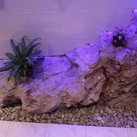 Apartment Zora Opatija