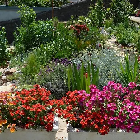 Apartment Zora Opatija